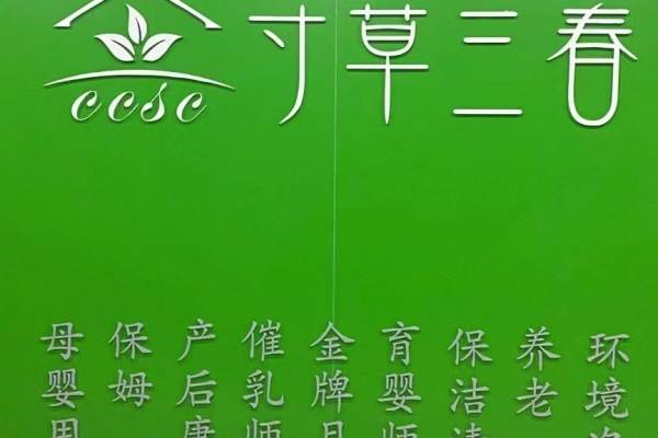 金牌月嫂