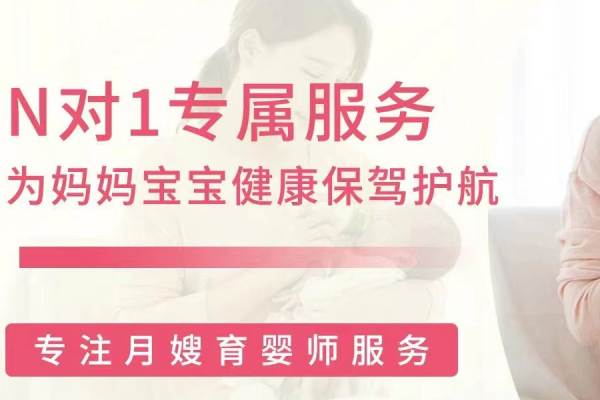 金牌月嫂