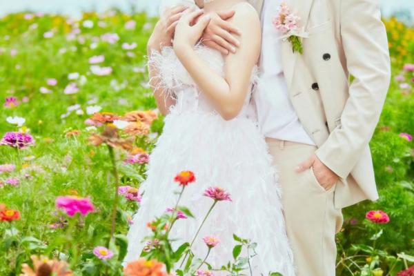 花开正好