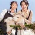 婚纱照