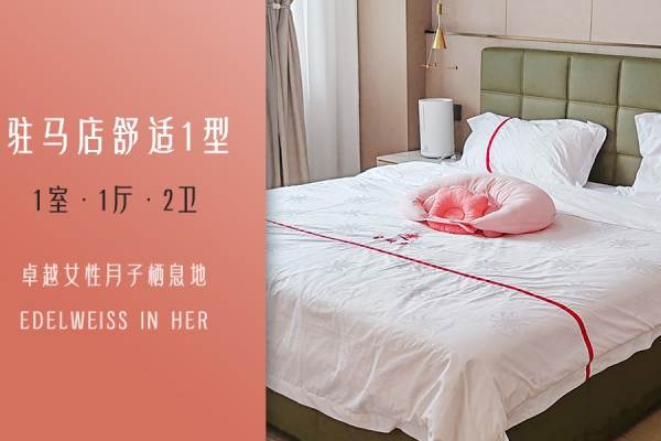 舒适1型套房