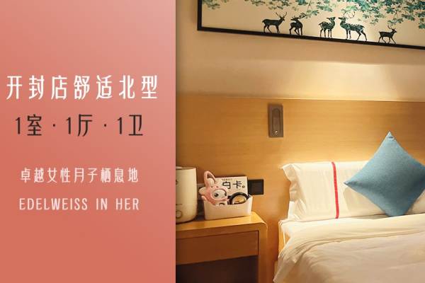 舒适北型套房