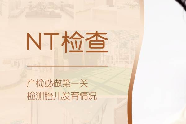【NT检查】 产检（颈后透明带/ 四维设备）