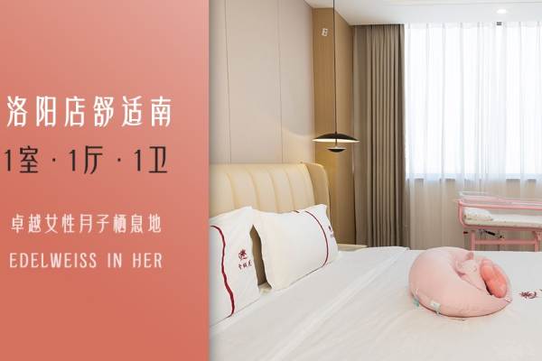 舒适南型套房