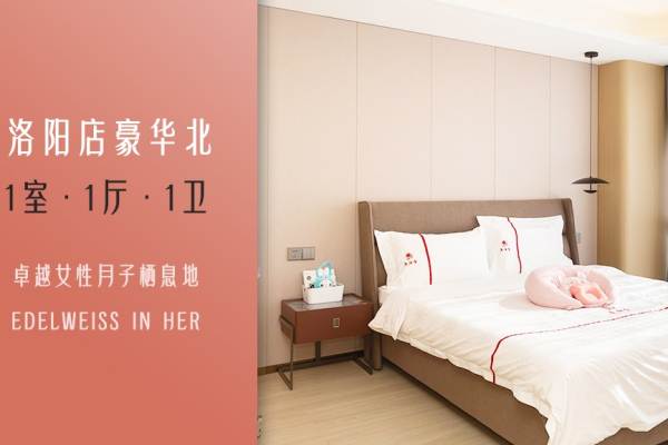 豪华北型套房