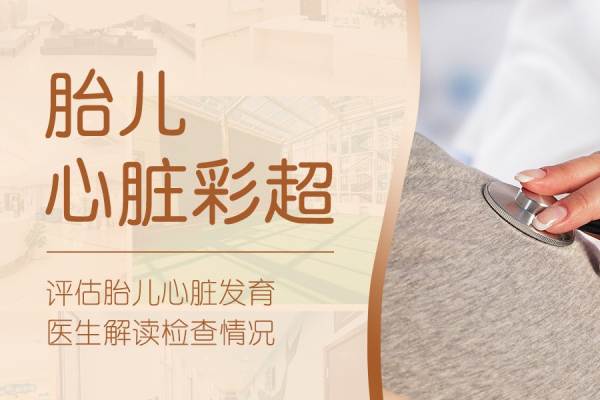 【心脏彩超】（单胎）胎儿心脏彩超（先天性心脏病检查）