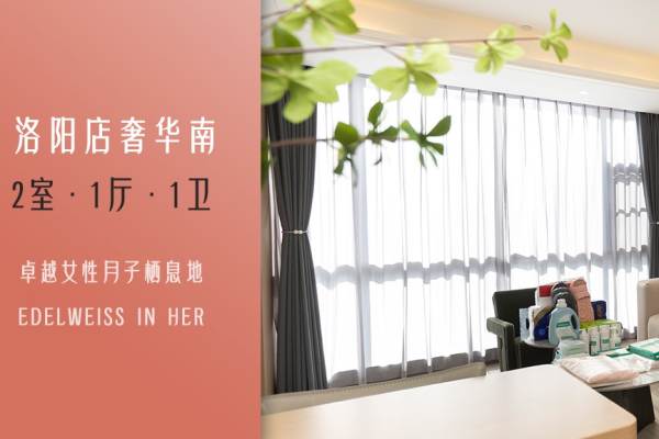 奢华南型套房