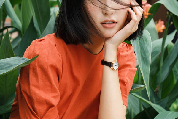 朗熙婚纱摄影高端定制