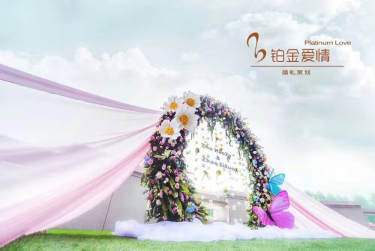 铂金爱情婚礼PLATINUMLOVE