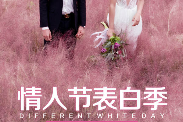 青禾婚纱摄影