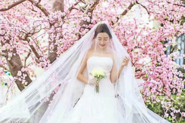 青禾婚纱摄影