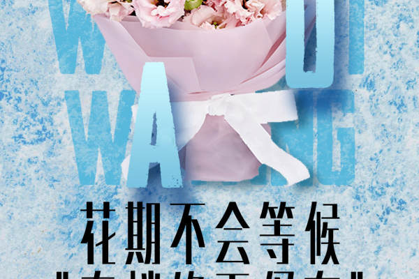 摩卡视觉婚纱摄影