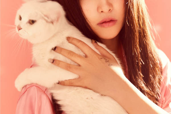 金夫人婚纱摄影