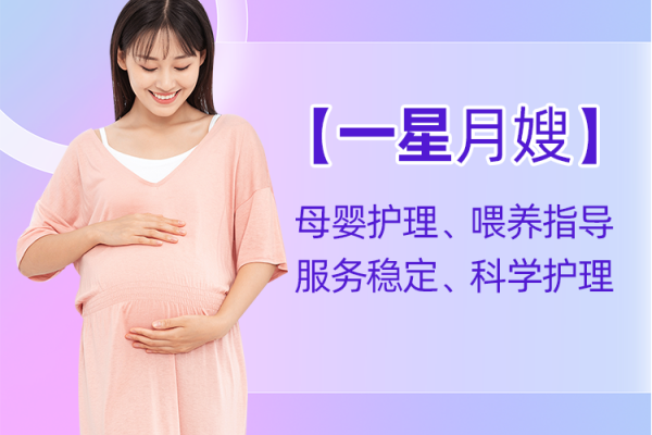 【一星月嫂】助力型