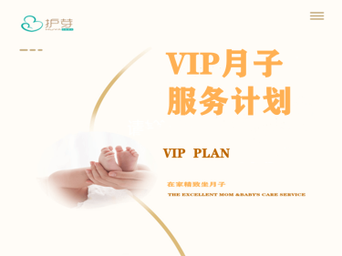 VIP月子服务计划