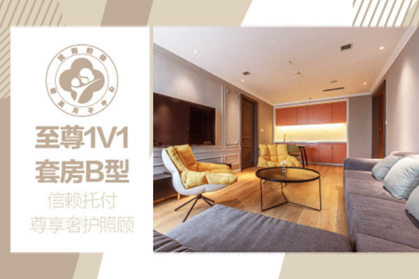 至尊一对一B套房