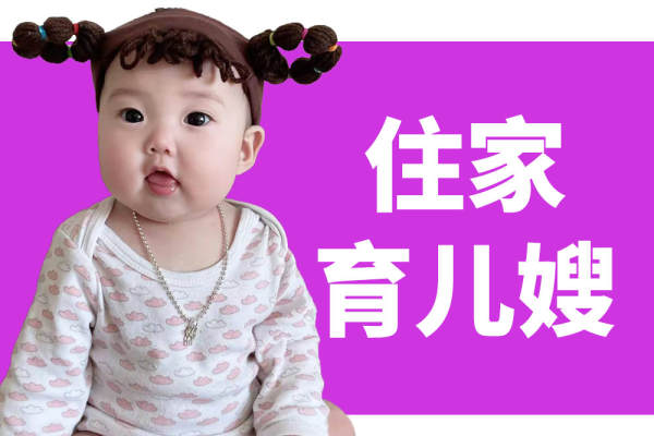 住家（育儿嫂）