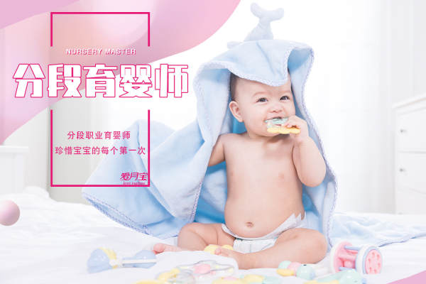爱.分段育婴师