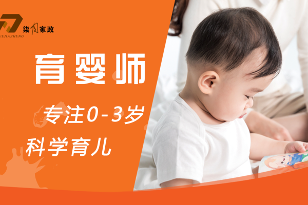 初级育婴师/住家