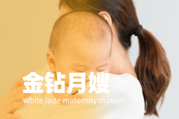 钻石月嫂到家服务