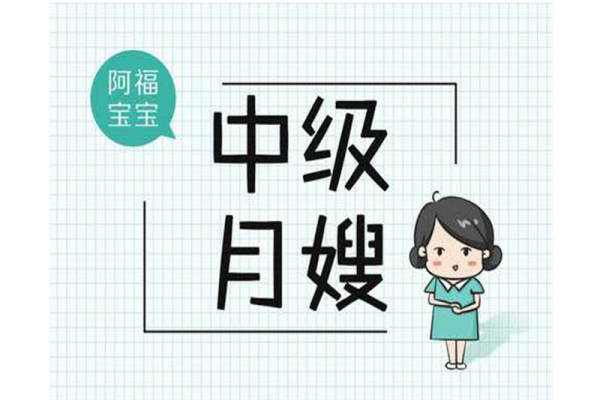 中级月嫂