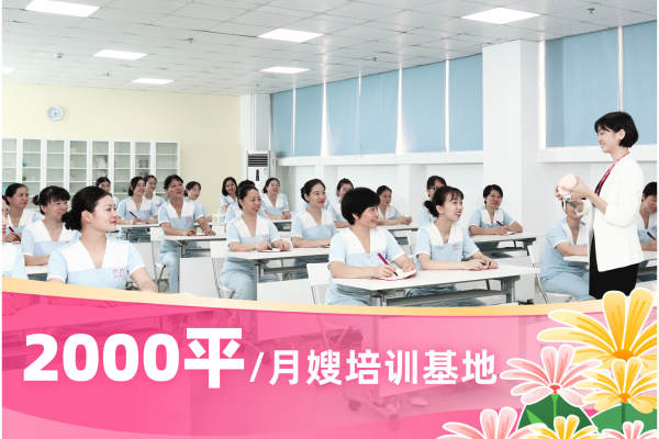 T3专业月嫂经济实用