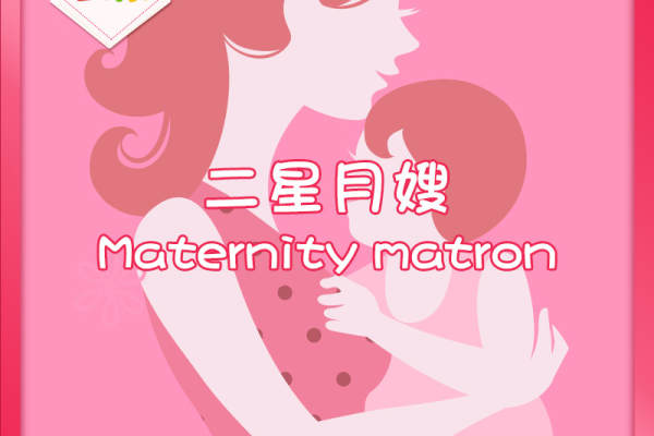 二星月嫂服务