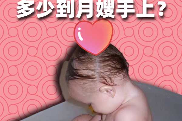 月嫂服务费500