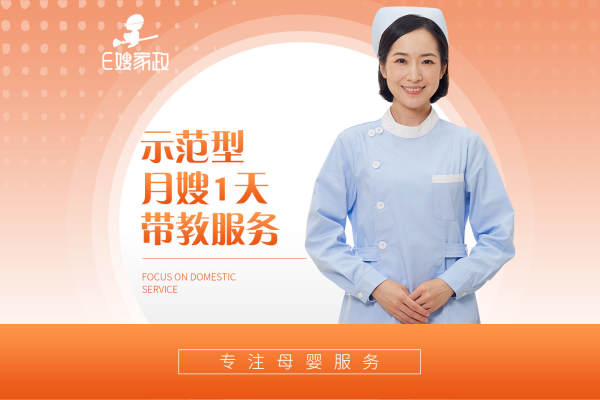 月嫂一对一入户带教1天服务