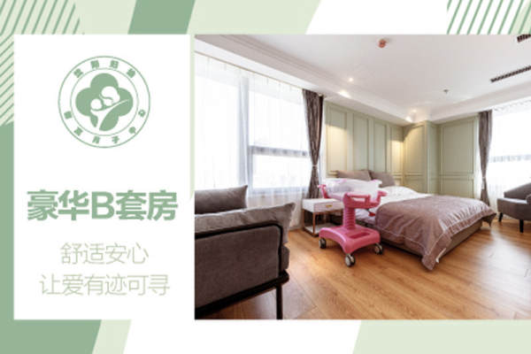 豪华B套餐