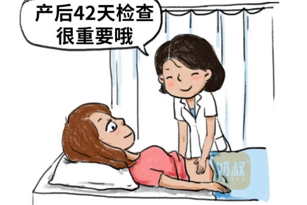 盆底肌调理