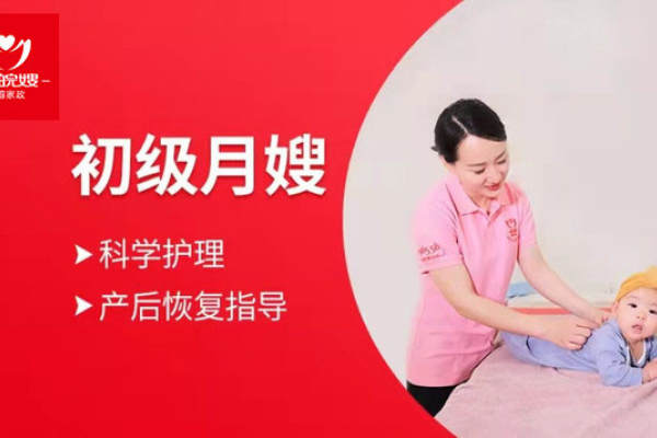 初级月嫂