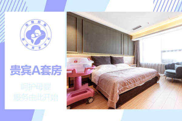 贵宾A套房