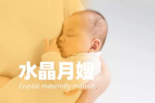 金牌月嫂到家服务