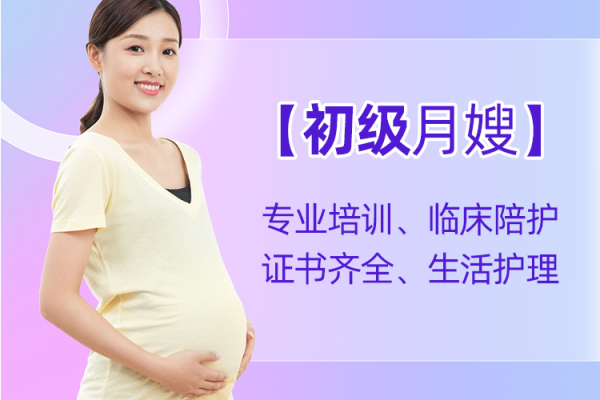 【阳光好月嫂】经济型