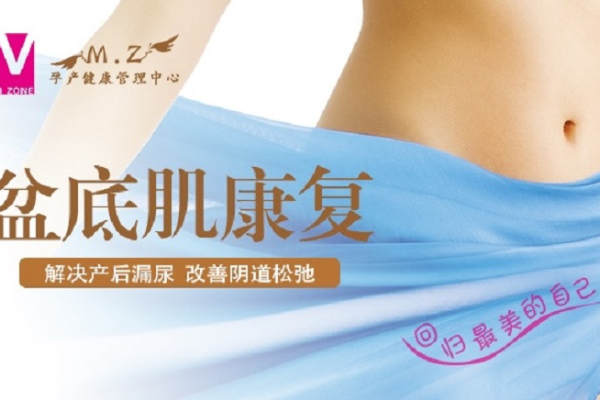 盆底肌修复