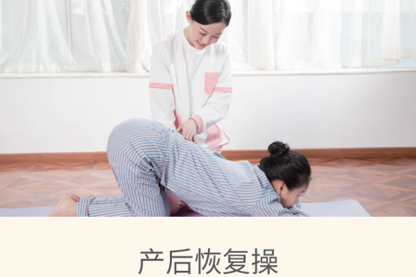 金牌月嫂