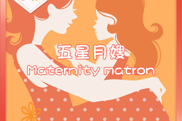 五星月嫂服务