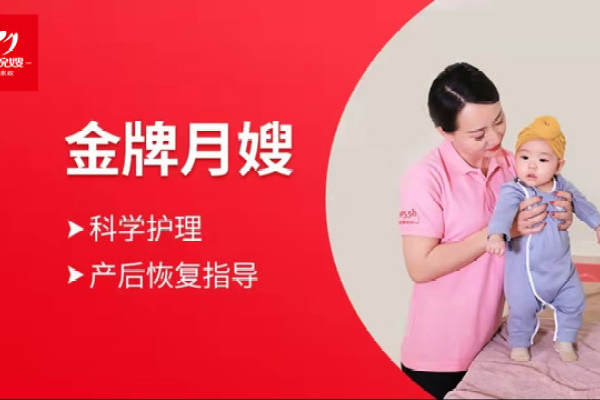 金牌月嫂