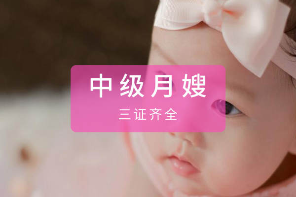 中级月嫂-三证齐全