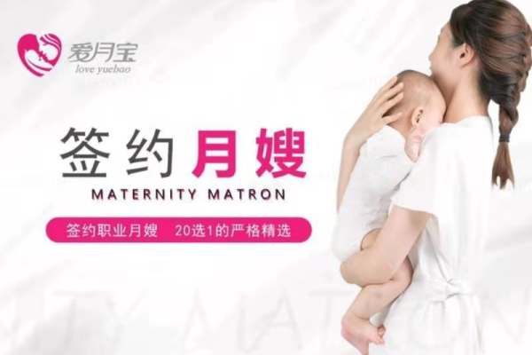 爱·标准月嫂服务计划