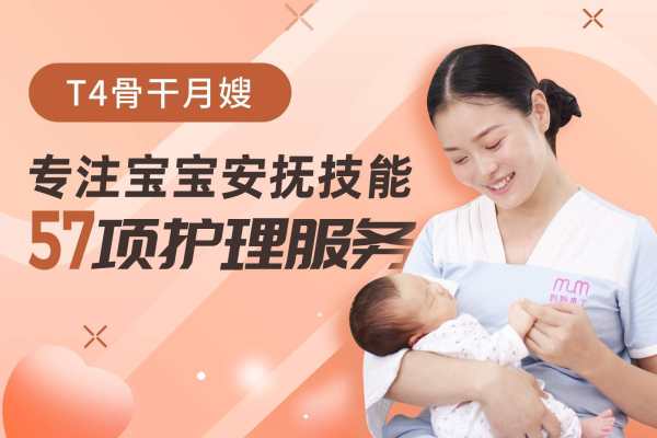 T4骨干月嫂月子好帮手