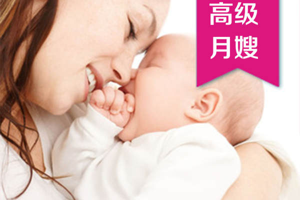 高级月嫂