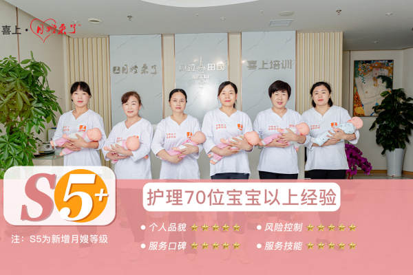 温暖VIP特需（形象图片与月嫂级别无关）