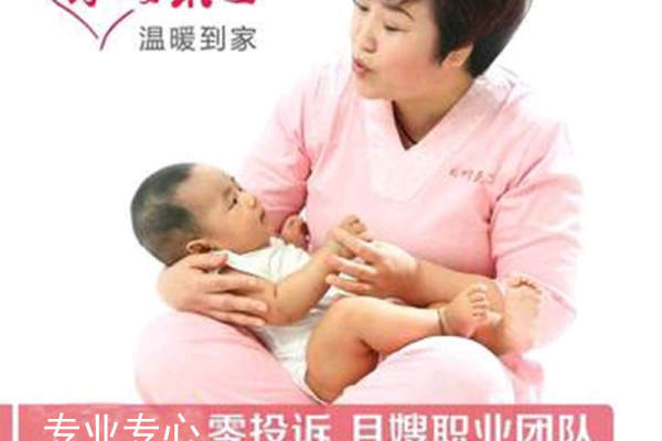 温暖VIP育儿嫂（形象图与月嫂级别无关）