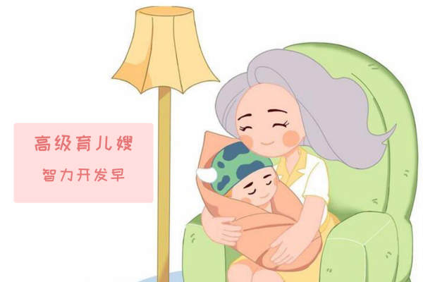 高级育儿嫂-智力开发早