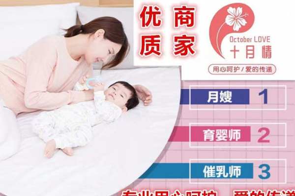 高级月嫂