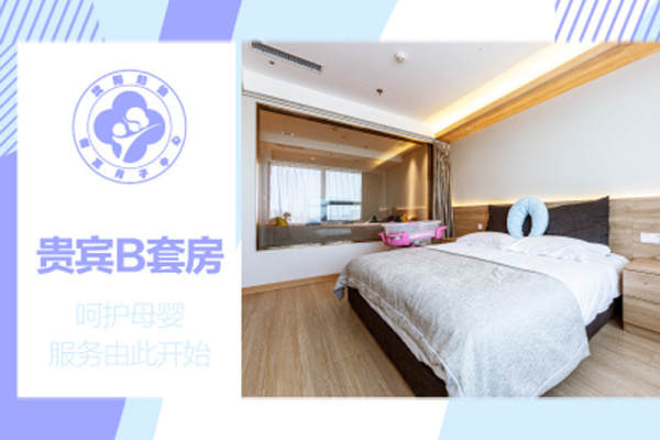 贵宾B套房