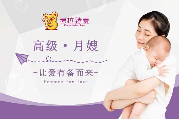 高级月嫂