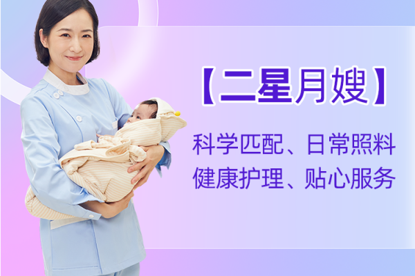 【二星月嫂】专业型